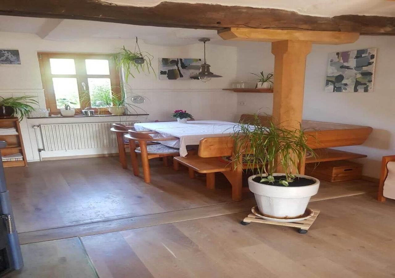 Aeltestes Haus In Quentel - Ferienwohnung 1 Mit Kleinem Garten Lichtenau Exteriér fotografie